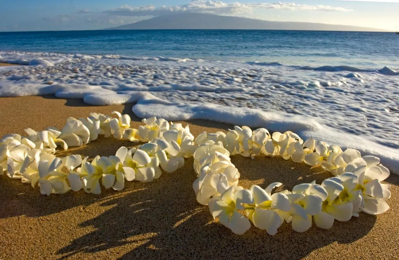 Ocean View Oasis With Free Parking, A Waikiki Gem! Apartment Honolulu 0*,