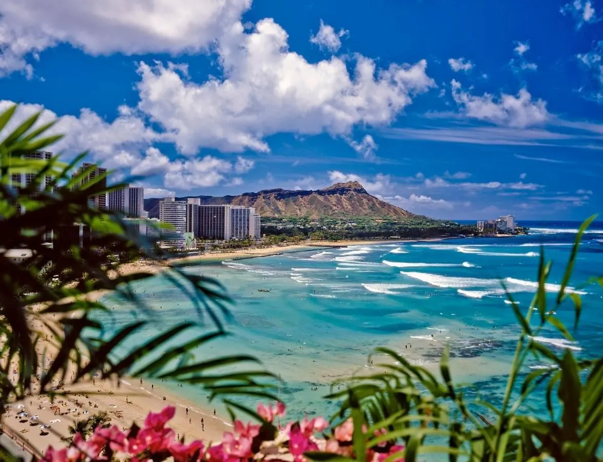 Ocean View Oasis With Free Parking, A Waikiki Gem! Apartment Honolulu